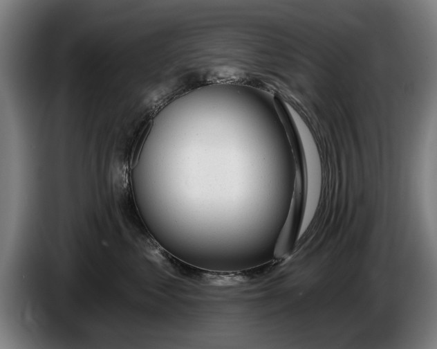 X0000086320621200704202023