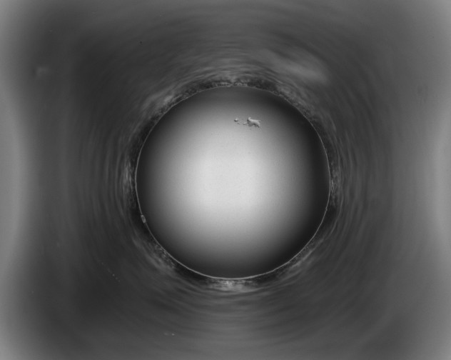 X0000086320623200704202023