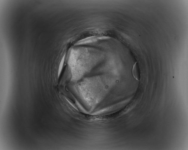 X0000086320624200704202023