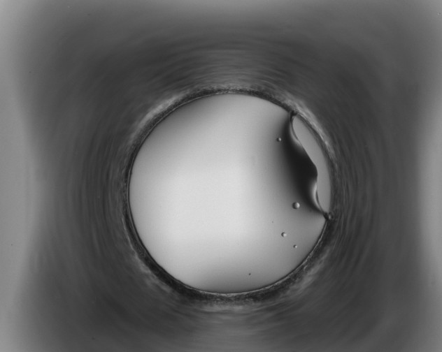 X0000086320625200704202022