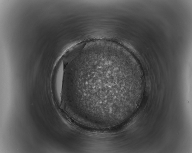 X0000086320626200704202022