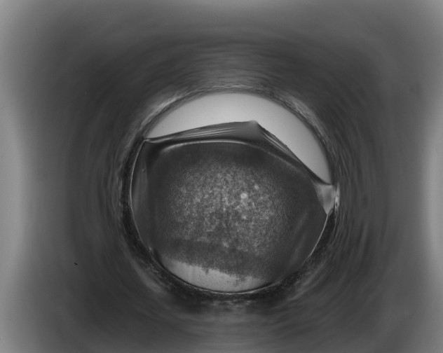 X0000086320627200704202022