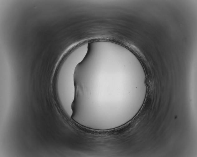 X0000086320628200704202022