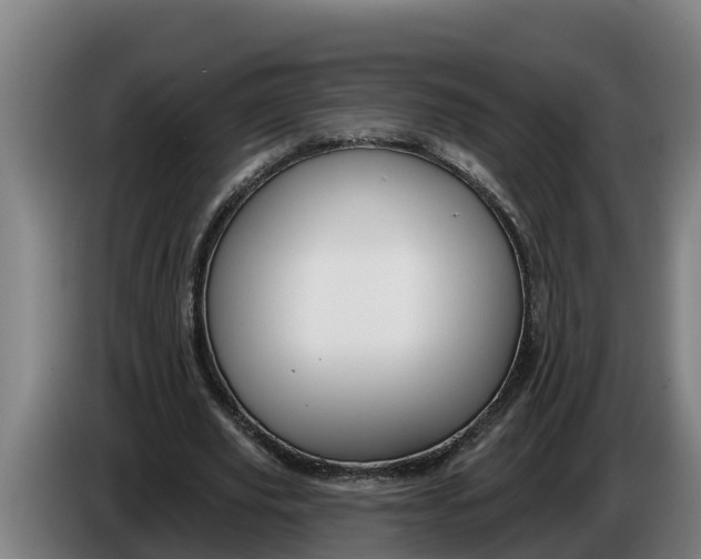 X0000086320629200704202022