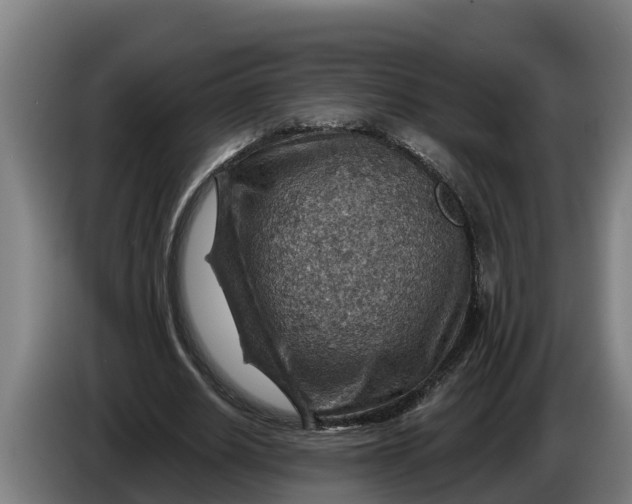 X0000086320630200704202022