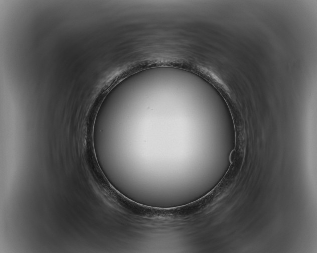 X0000086320631200704202022