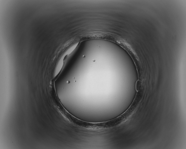 X0000086320633200704202022