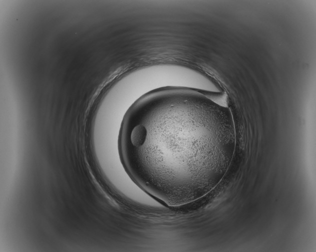 X0000086320634200704202022