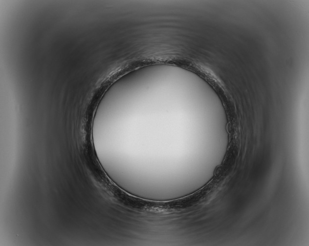 X0000086320635200704202022