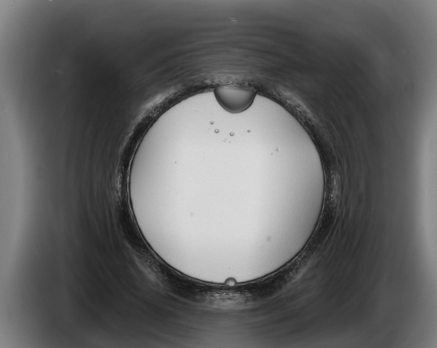 X0000086320636200704202022