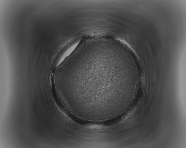 X0000086320637200704202022