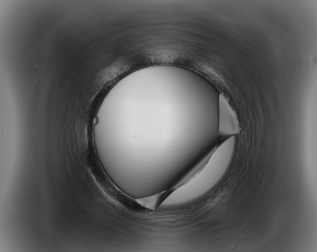 X0000086320638200704202022