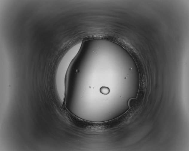 X0000086320639200704202022