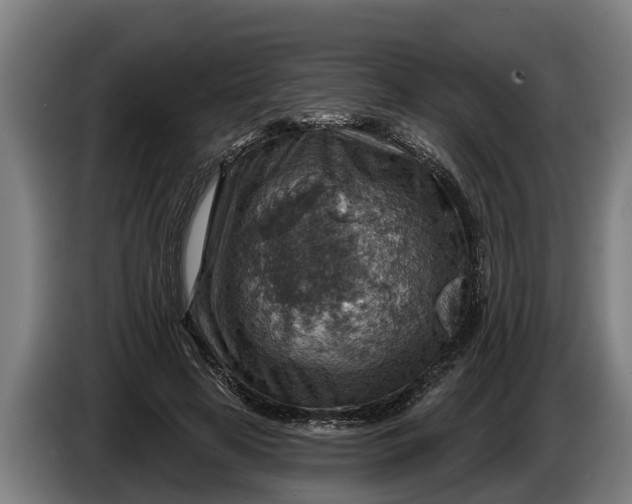 X0000086320641200704202023