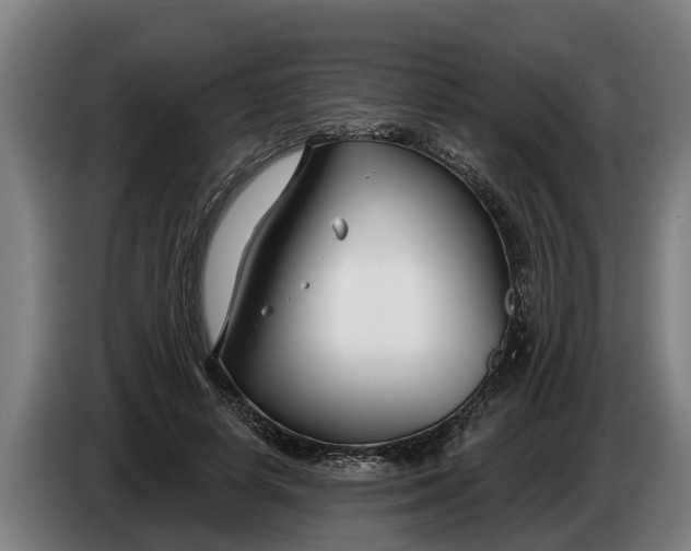 X0000086320642200704202023