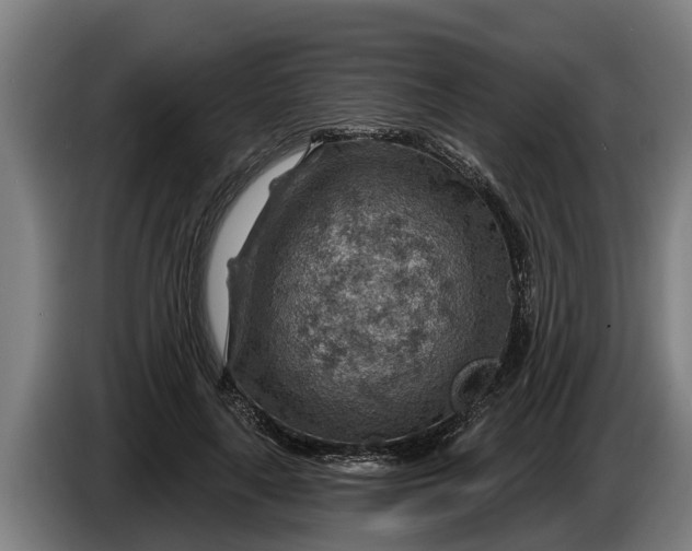 X0000086320643200704202023