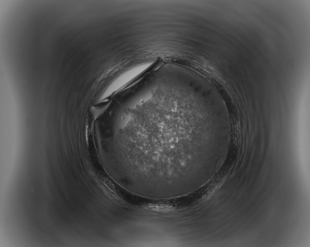 X0000086320644200704202023