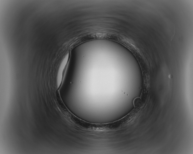 X0000086320645200704202023