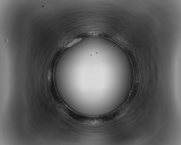 X0000086320646200704202023