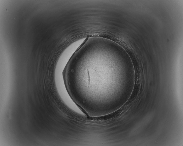 X0000086320647200704202023