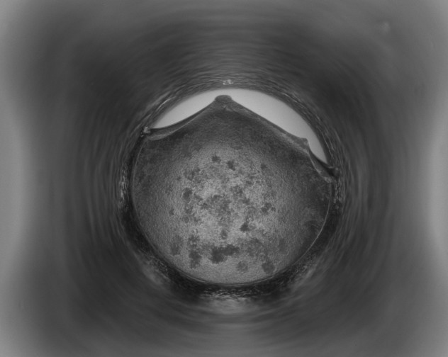 X0000086320648200704202023