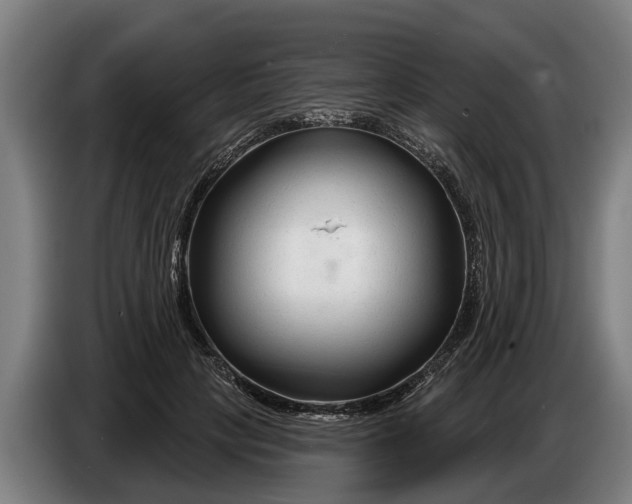 X0000086320649200704202023