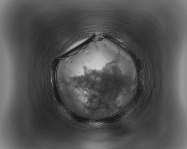 X0000086320650200704202023