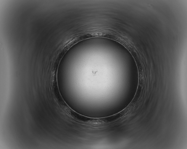 X0000086320652200704202023