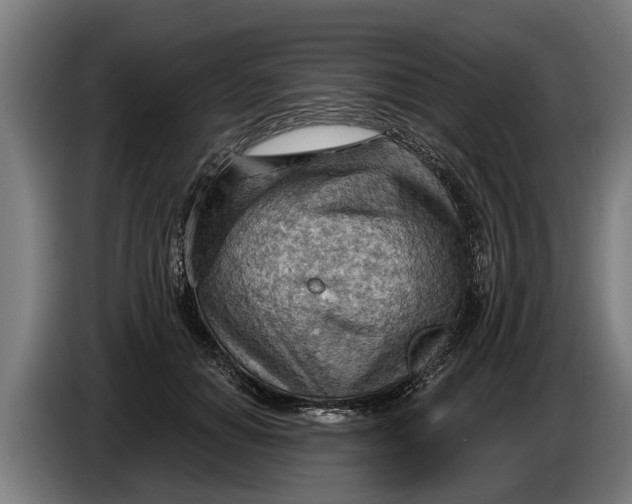 X0000086320654200704202023