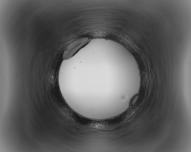 X0000086320655200704202023