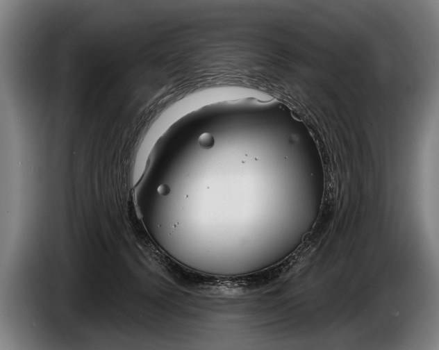 X0000086320656200704202023