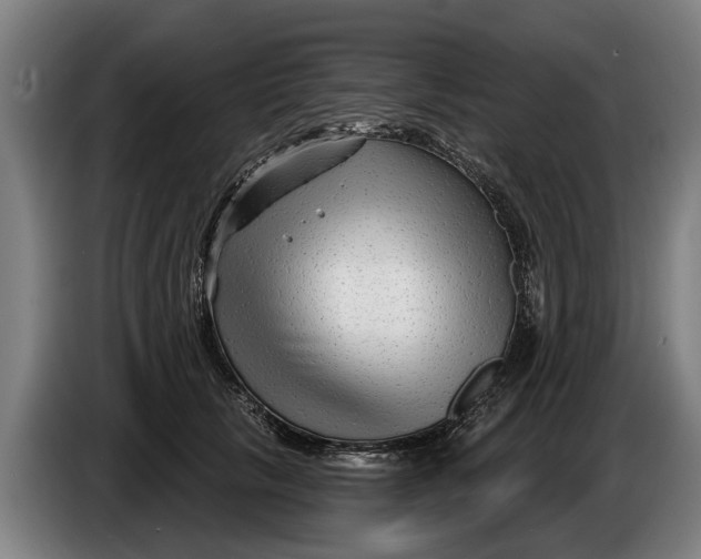 X0000086320657200704202023