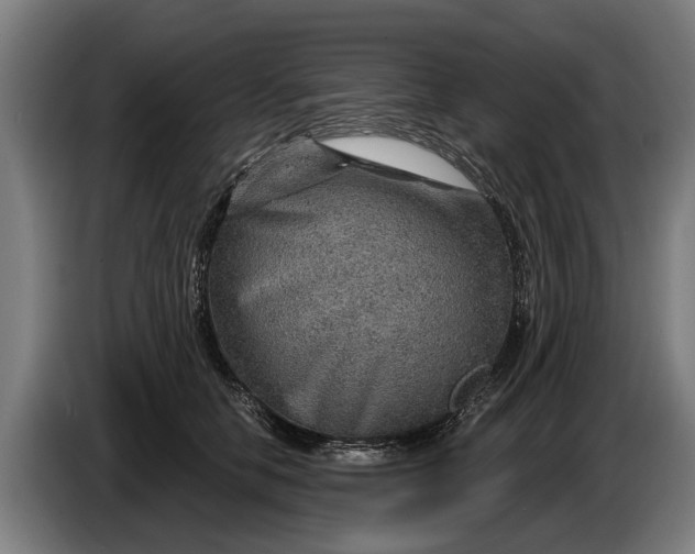 X0000086320658200704202023