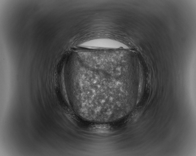 X0000086320659200704202023