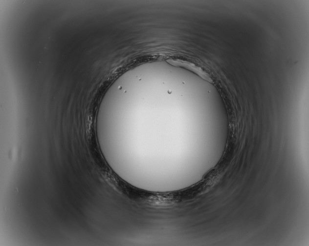 X0000086320660200704202023