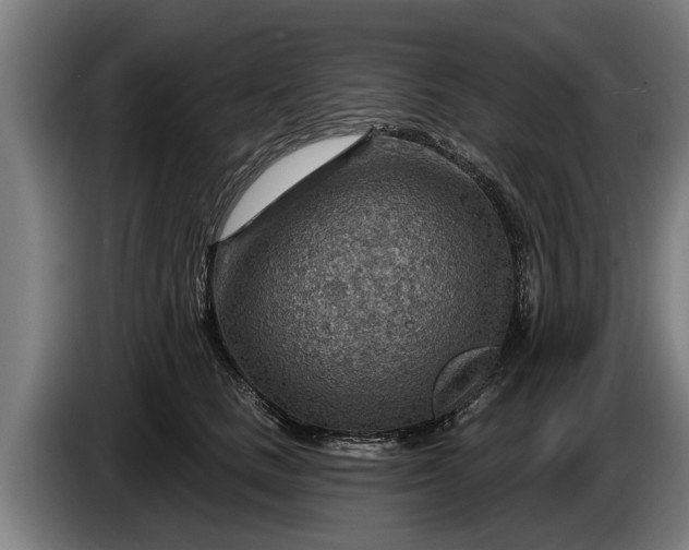 X0000086320661200704202023