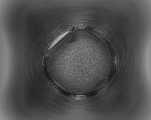 X0000086320663200704202023