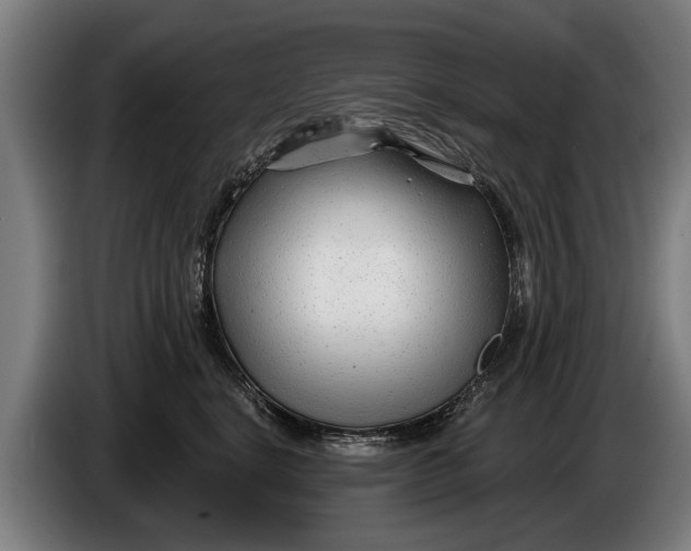 X0000086320664200704202023