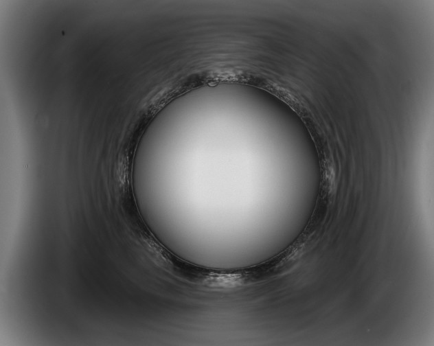 X0000086320665200704202023