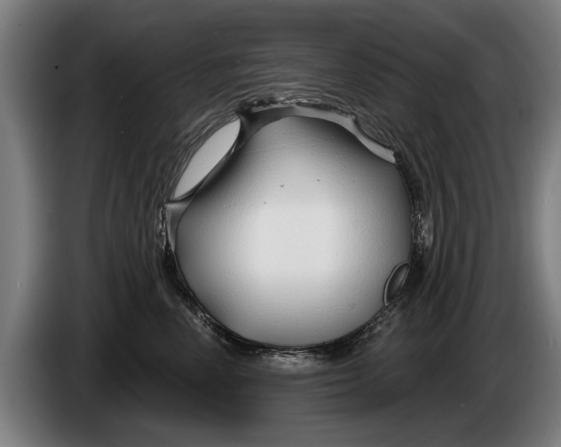 X0000086320666200704202023