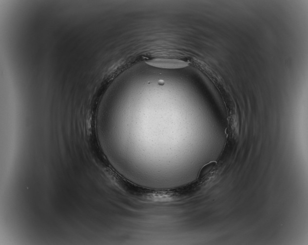 X0000086320668200704202023