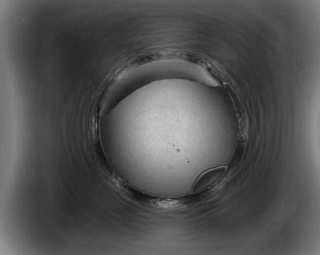 X0000086320669200704202023