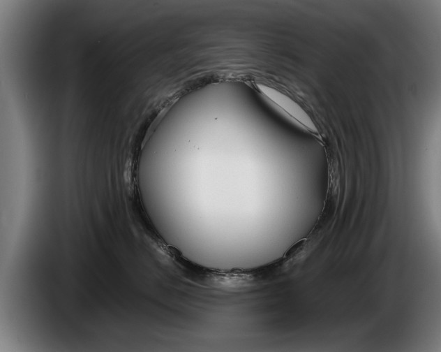 X0000086320670200704202023