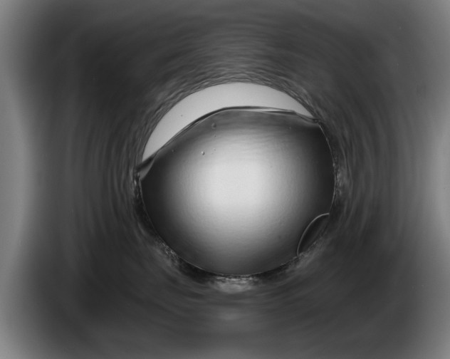 X0000086320671200704202023