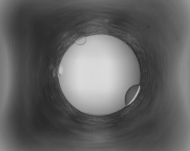 X0000086320672200704202023