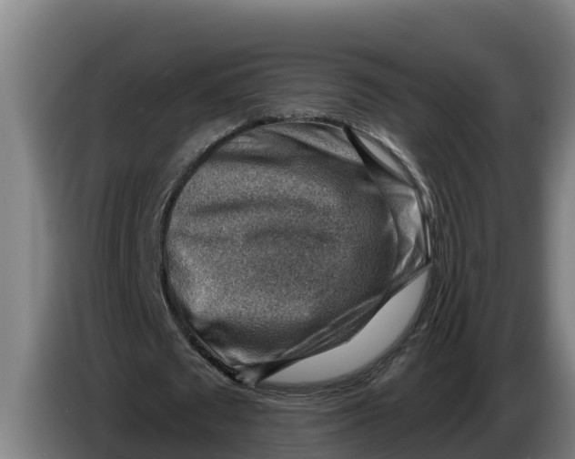 X0000086320673200704202022