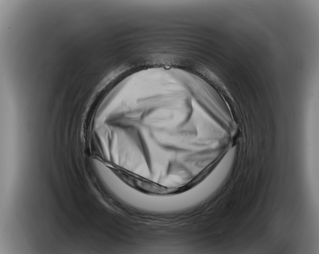 X0000086320674200704202022