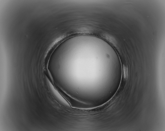 X0000086320675200704202022