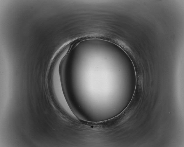 X0000086320676200704202022