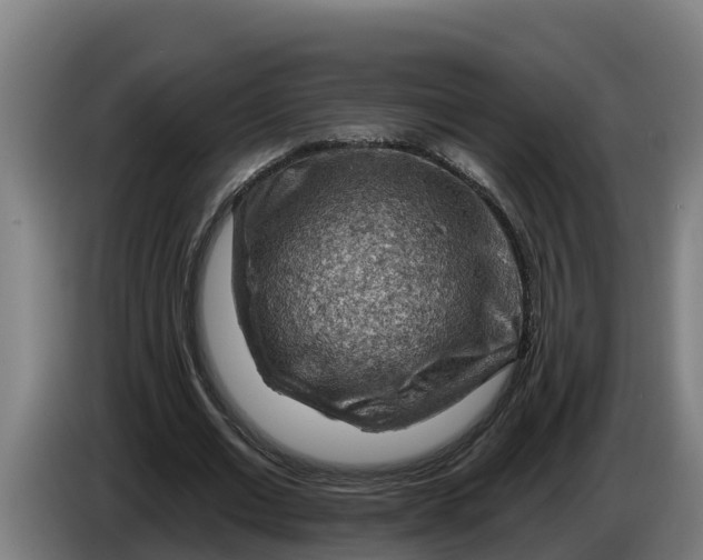 X0000086320677200704202022